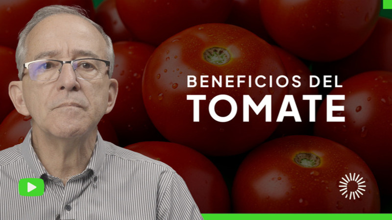 <p>El tomate: un alimento b&aacute;sico en nuestra cocina, &iquest;pero sabemos realmente todo sobre &eacute;l?<br />
<br />
En este video, exploramos un aspecto crucial sobre el consumo de tomate que quiz&aacute;s desconozcas. Conoce sus beneficios nutricionales y ciertas consideraciones que debes tener en cuenta para evitar posibles efectos adversos en tu salud.<br />
&nbsp;</p>