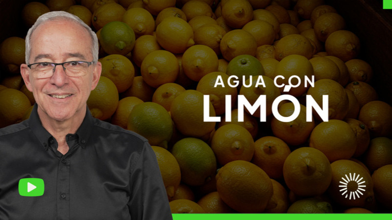 <p>&iquest;Sientes que necesitas un impulso de energ&iacute;a? &iquest;Buscas una forma natural de mejorar tu salud? El agua con lim&oacute;n podr&iacute;a ser la respuesta.<br />
<br />
En este video, exploramos a fondo los m&uacute;ltiples beneficios de incorporar el agua con lim&oacute;n a tu rutina diaria. M&aacute;s all&aacute; de ser una bebida refrescante, el agua con lim&oacute;n es un elixir que puede contribuir significativamente a tu bienestar general.<br />
<br />
Descubre c&oacute;mo el agua con lim&oacute;n puede:<br />
<br />
Fortalecer tu sistema inmunol&oacute;gico: La alta concentraci&oacute;n de vitamina C en los limones act&uacute;a como un potente antioxidante, ayudando a proteger tus c&eacute;lulas y a fortalecer tus defensas contra enfermedades.<br />
Mejorar tu digesti&oacute;n: El &aacute;cido c&iacute;trico estimula la producci&oacute;n de jugos g&aacute;stricos, facilitando la digesti&oacute;n y previniendo la acidez estomacal.<br />
Desintoxicar tu organismo: El agua con lim&oacute;n ayuda a eliminar toxinas y a purificar tu h&iacute;gado, promoviendo la salud renal y hep&aacute;tica.<br />
Favorecer la p&eacute;rdida de peso: El lim&oacute;n es un diur&eacute;tico natural que puede ayudar a reducir la retenci&oacute;n de l&iacute;quidos y a acelerar el metabolismo.<br />
Mejorar el aspecto de tu piel: La vitamina C y los antioxidantes presentes en el lim&oacute;n contribuyen a la producci&oacute;n de col&aacute;geno, manteniendo tu piel joven y radiante.<br />
Equilibrar el pH de tu cuerpo: A pesar de su acidez, el lim&oacute;n tiene un efecto alcalinizante en el organismo, ayudando a mantener un pH equilibrado.</p>